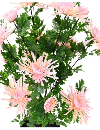 CHRYSANTHEMUM 60