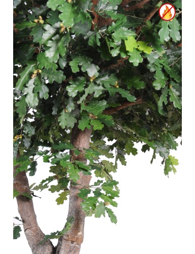 OAK TREE FR - Fire Resistant