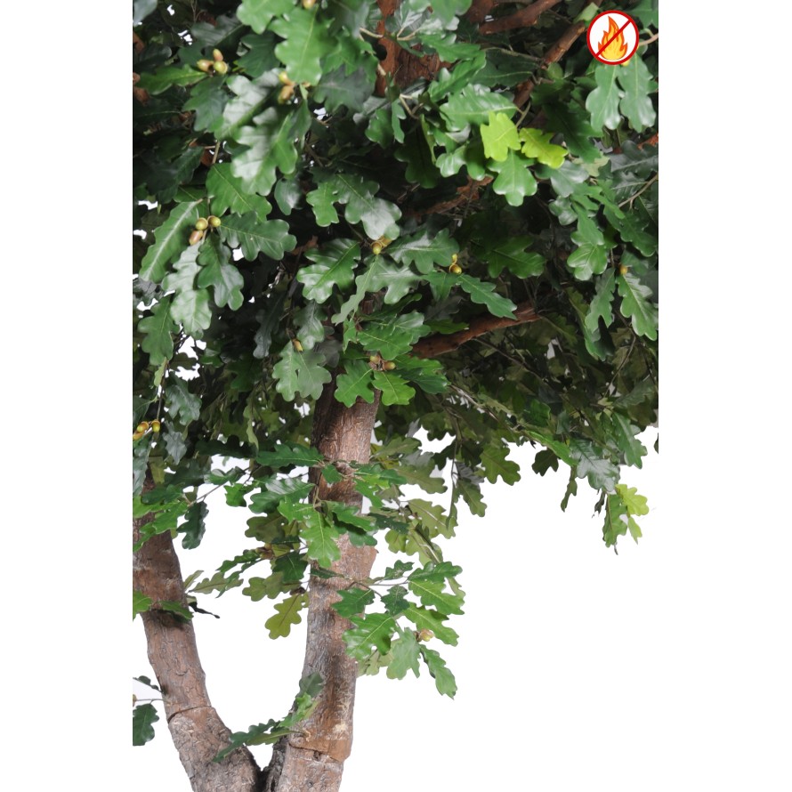 ROBLE FR - Resistente al Fuego