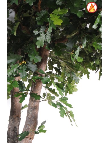 ROBLE FR - Resistente al Fuego