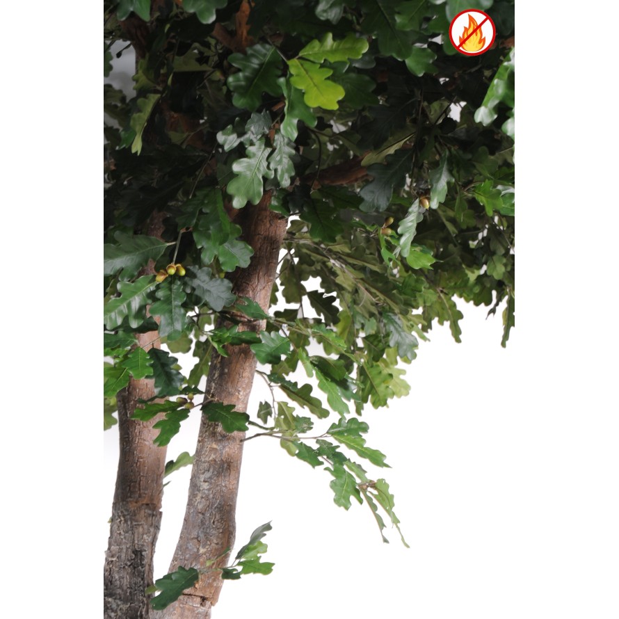 CHENE ARBRE 490 FR - Fire Resistant