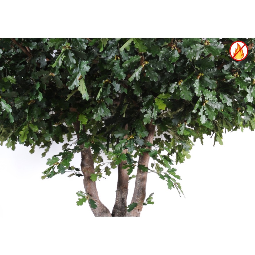 CHENE ARBRE 490 FR - Fire Resistant
