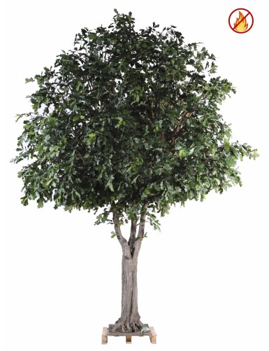 CHENE ARBRE 490 FR - Fire...