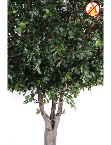 CHENE N ARBRE 490 FR - Fire Resistant