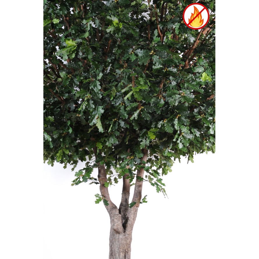 CHENE N ARBRE 490 FR - Fire Resistant