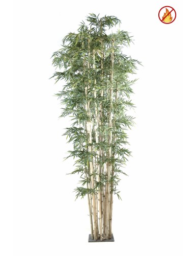 BAMBÚ NEW GIGANTE FR -...