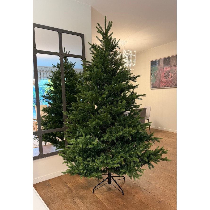 TANNE (Weihnachtsbaum) NORDMANN