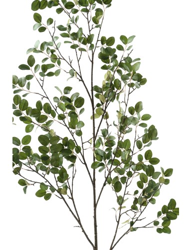 MYRTE BRANCHE 130 (MYRTLE)