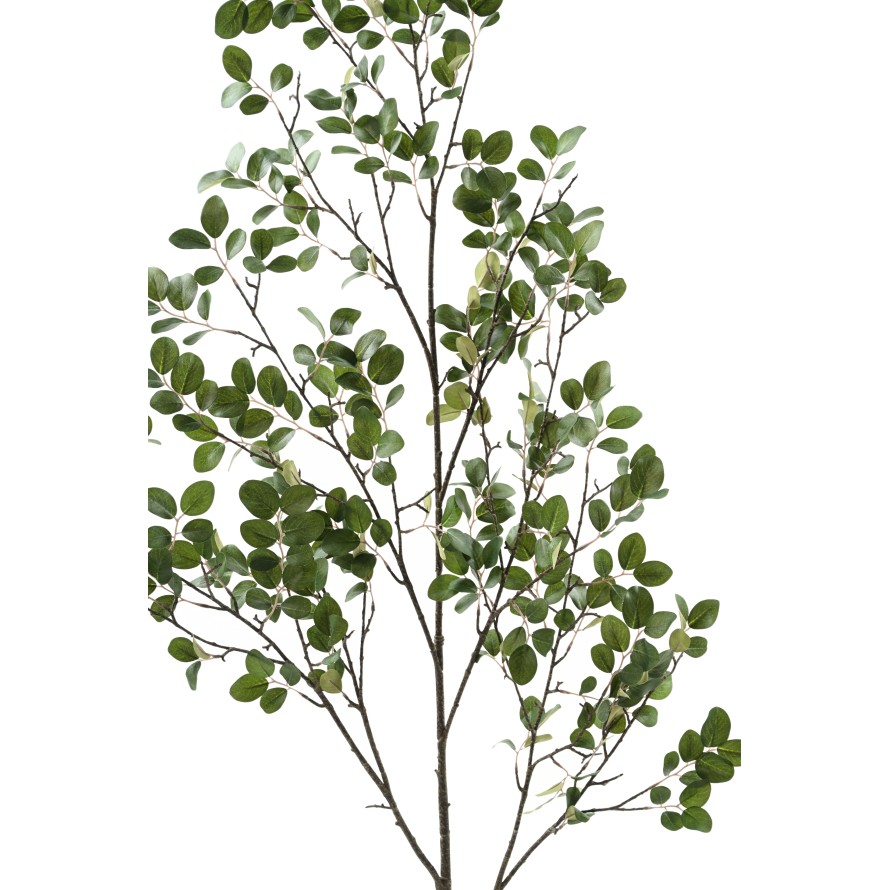 MYRTENZWEIG 130 (MYRTLE)