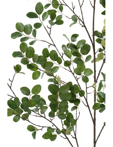 RAMA DE MIRTO 130 (MYRTLE)