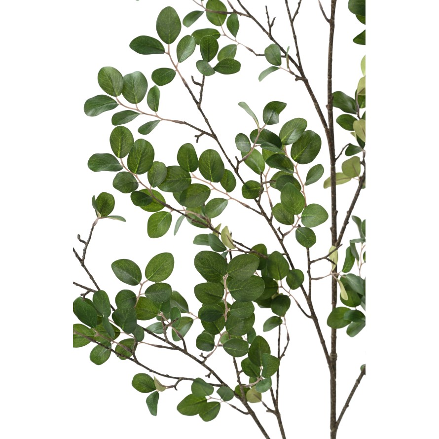 RAMA DE MIRTO 130 (MYRTLE)