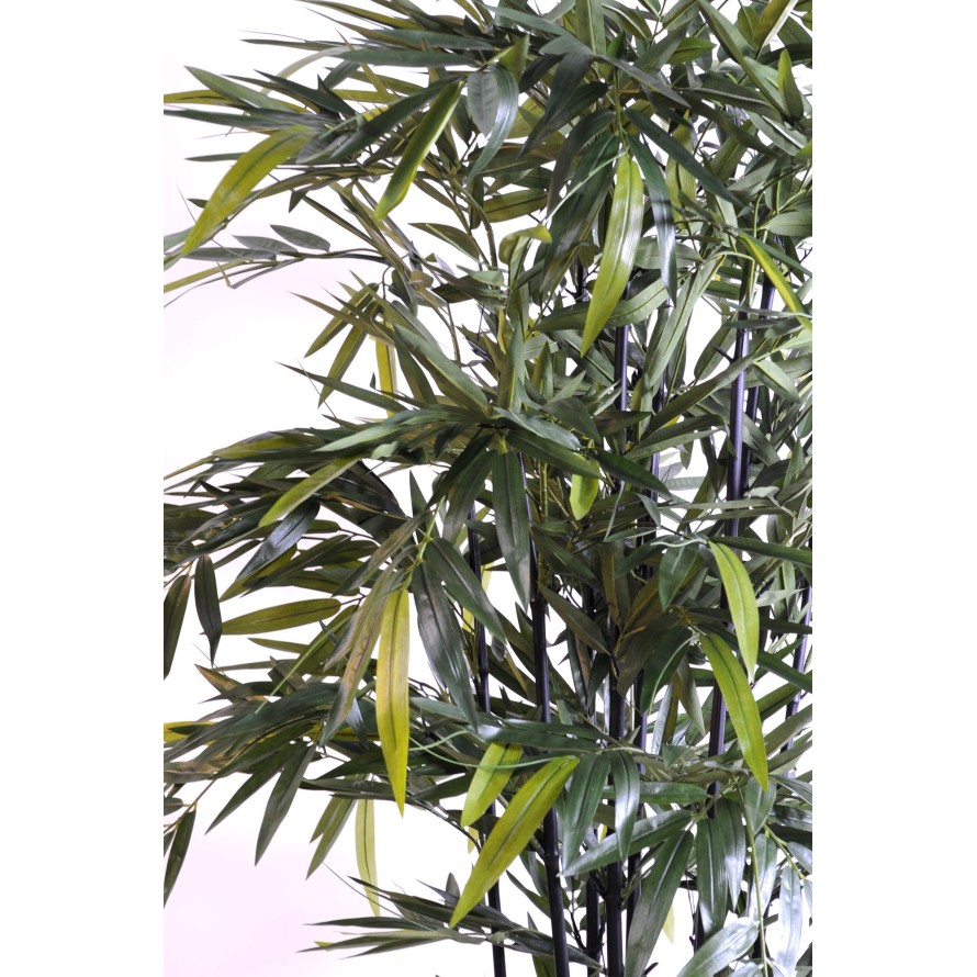 BAMBUS BLACK NATURAL NC