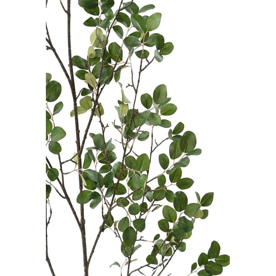 MYRTE BRANCHE 130 (MYRTLE)