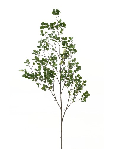 MYRTENZWEIG 130 (MYRTLE)