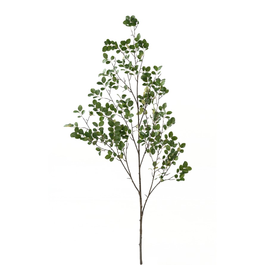 MYRTENZWEIG 130 (MYRTLE)