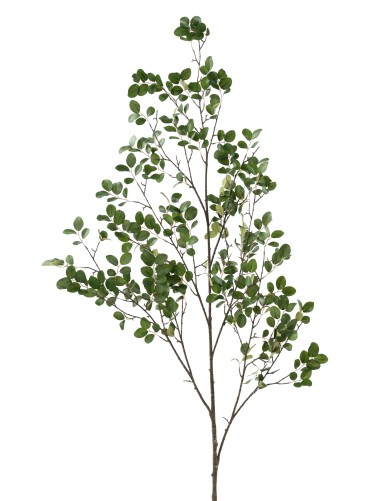 RAMA DE MIRTO 130 (MYRTLE)