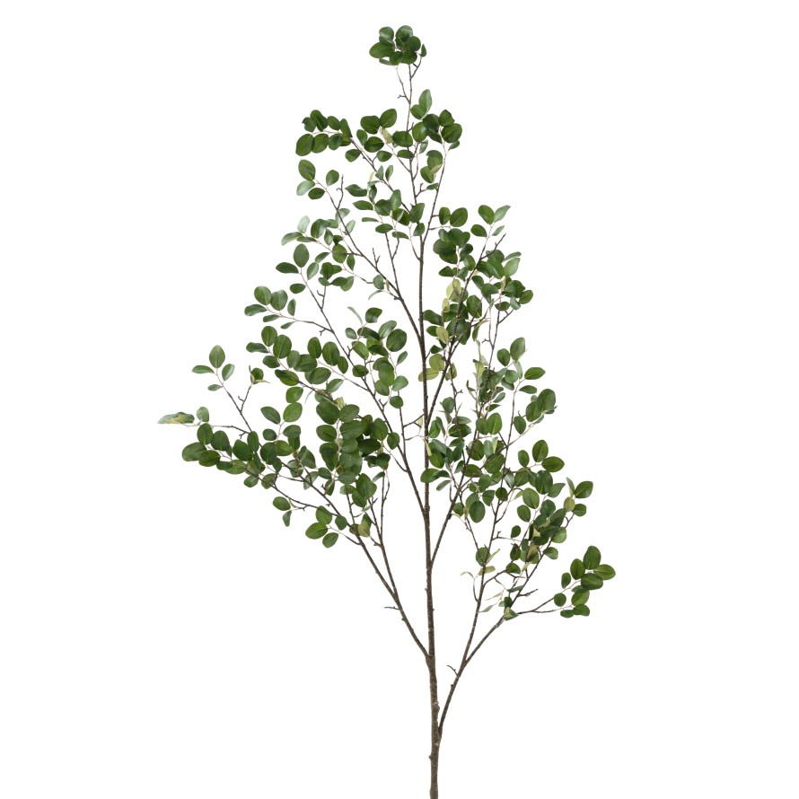 MYRTE BRANCHE 130 (MYRTLE)