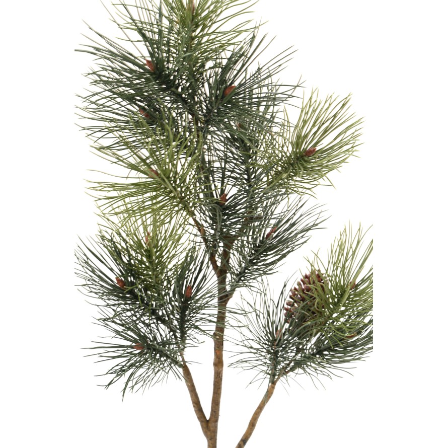 PINE SPRAY LARGE 120