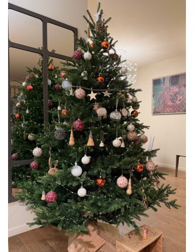 TANNE (Weihnachtsbaum) NORDMANN