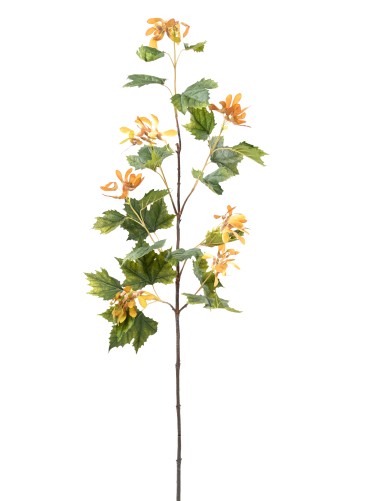 PLATANE LONG SPRAY (Promo net)