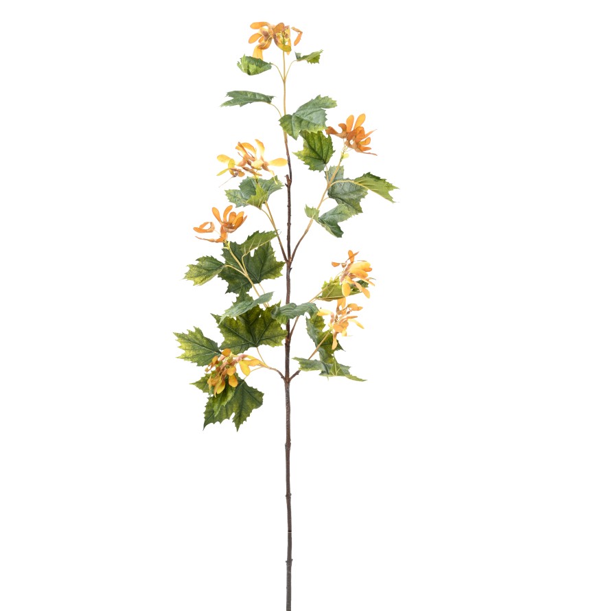 PLATANE LONG SPRAY (Promo net)