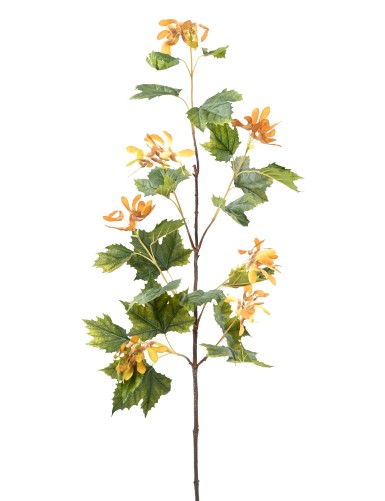 PLANE TREE LONG SPRAY (Net...