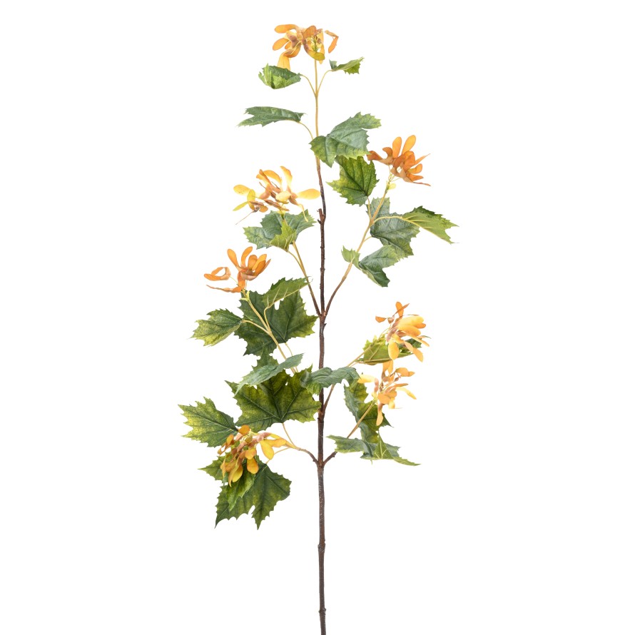 PLATANE LONG SPRAY (Promo net)