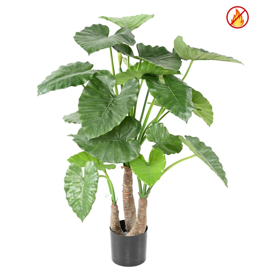 ALOCASIA CALIDORA 120 CM FR – Feuerbeständig