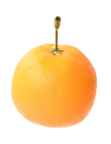ORANGE MITTELGROß MIT STIEL