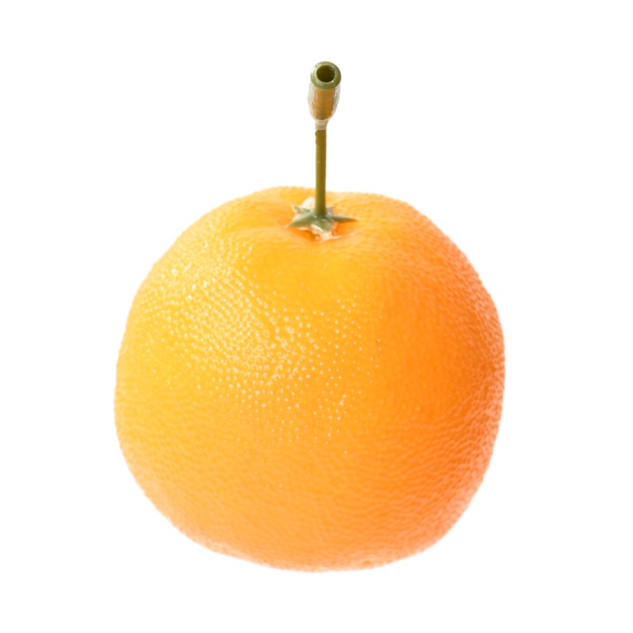 ORANGE MITTELGROß MIT STIEL