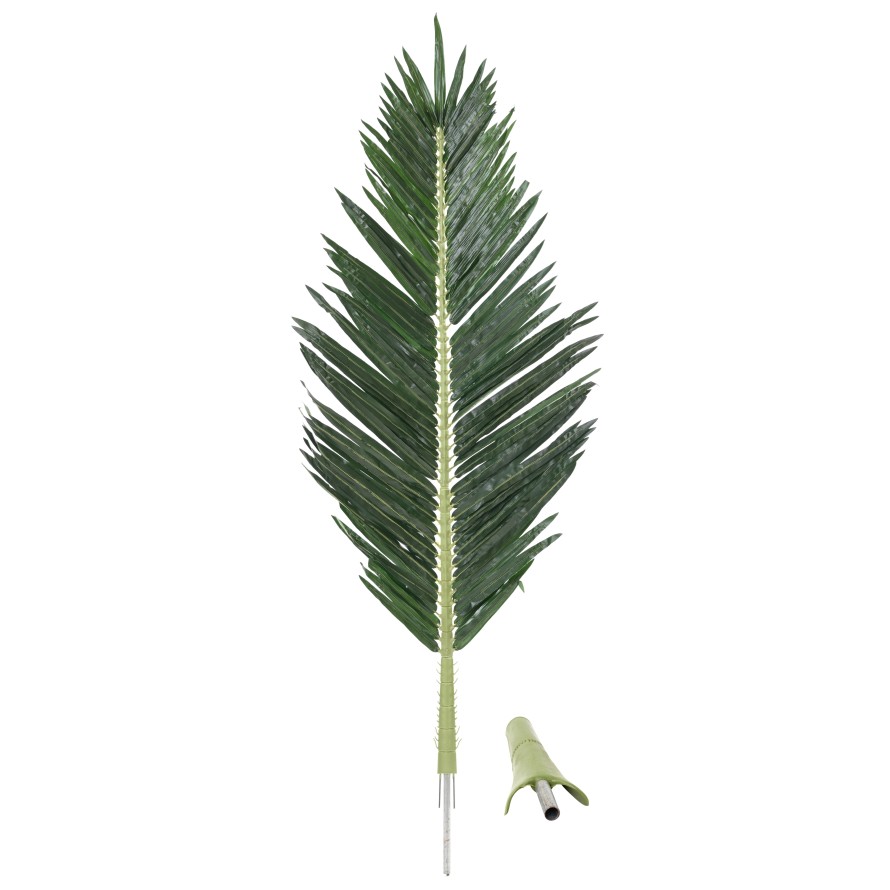 PALMWEDEL PALME ROYAL 180