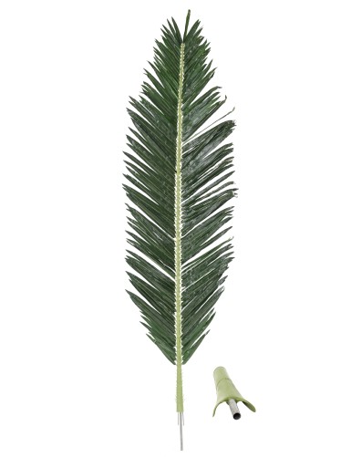 PALM TREE ROYAL FOLIAGE 250