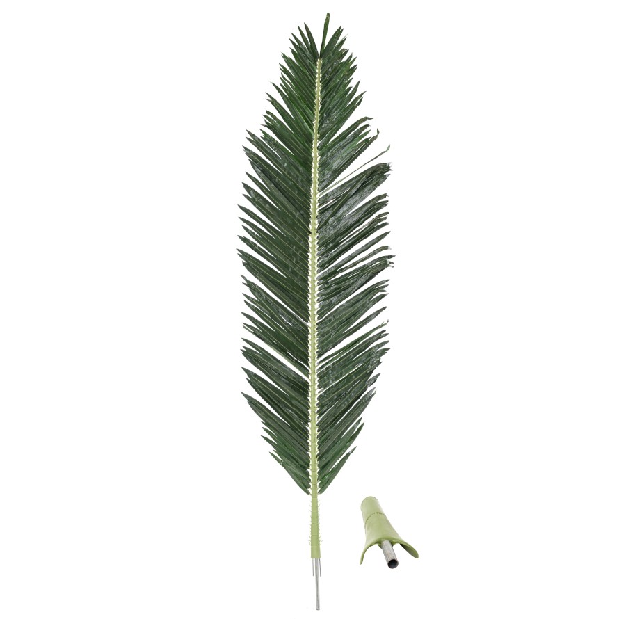 PALMWEDEL KÖNIGSPALME 250