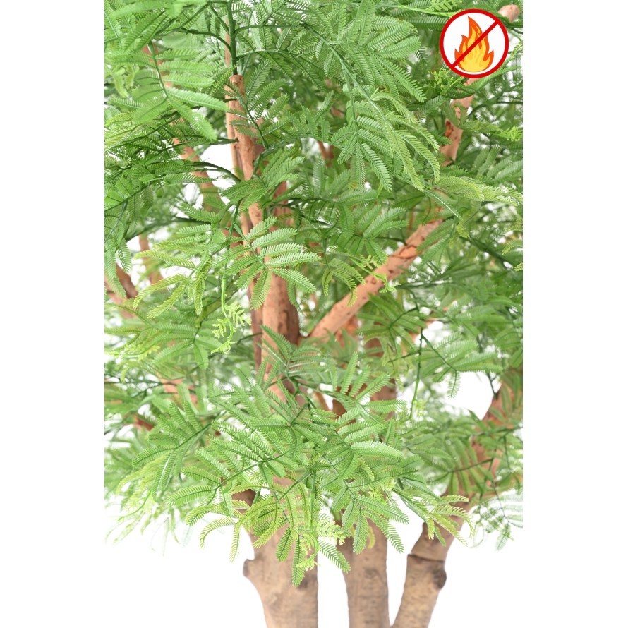 TAMARINDENBAUM 295 (Optik Mimose) FR – Feuerbeständig