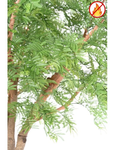 TAMARINDENBAUM 295 (Optik Mimose) FR – Feuerbeständig