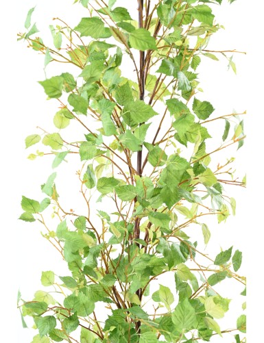 BIRCH GARLAND XL 210