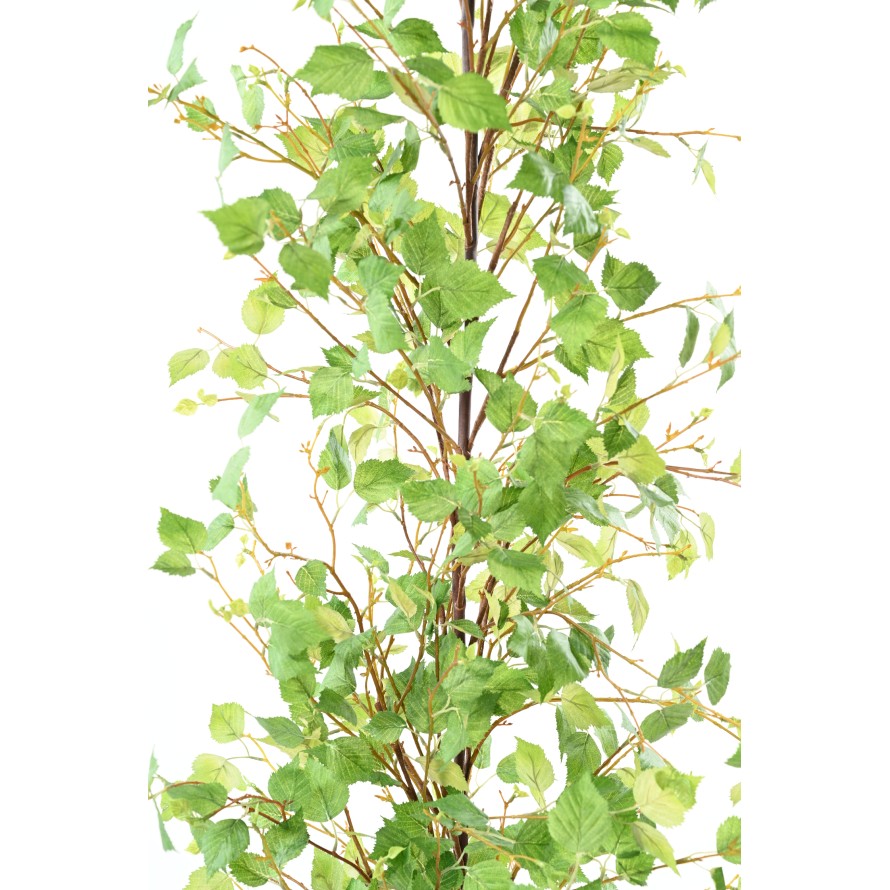 BIRCH GARLAND XL 210