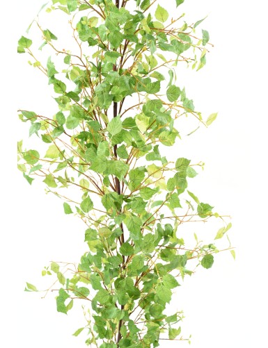 BOULEAU GUIRLANDE XL 210