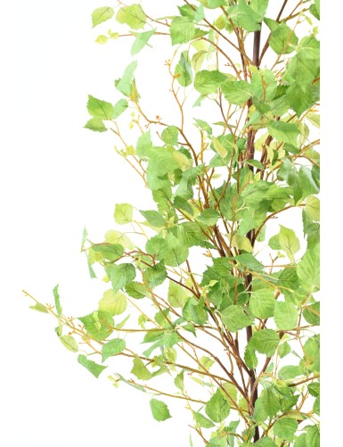 BOULEAU GUIRLANDE XL 210