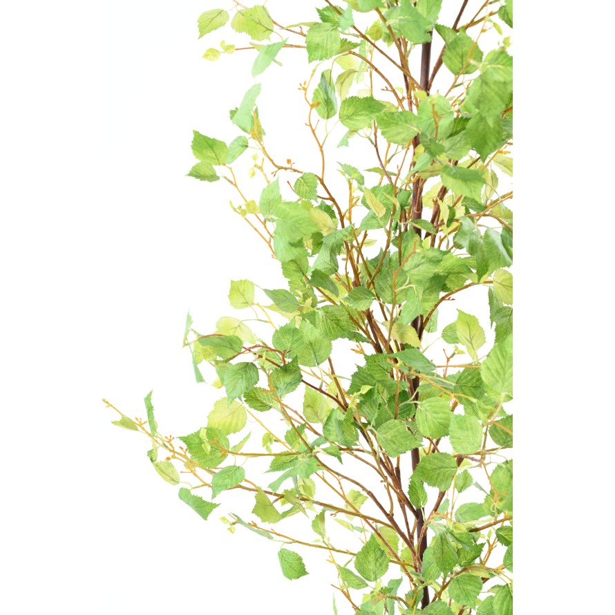 BIRCH GARLAND XL 210