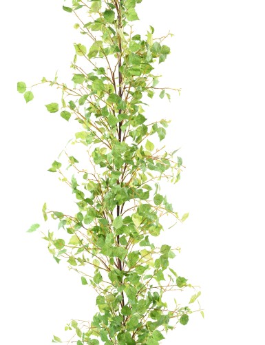 BIRCH GARLAND XL 210