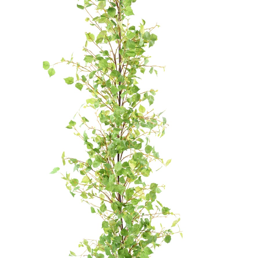 BIRCH GARLAND XL 210
