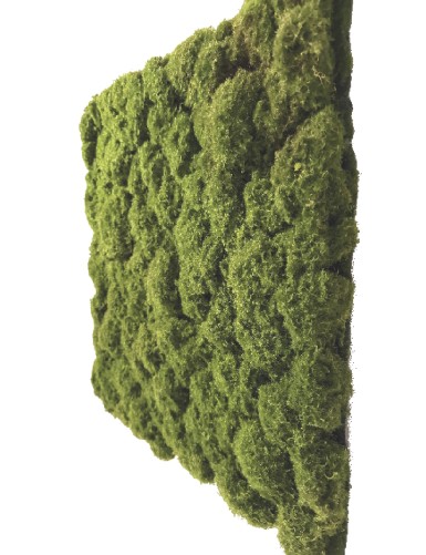 KIESEL-MOOSMATTE 50x50