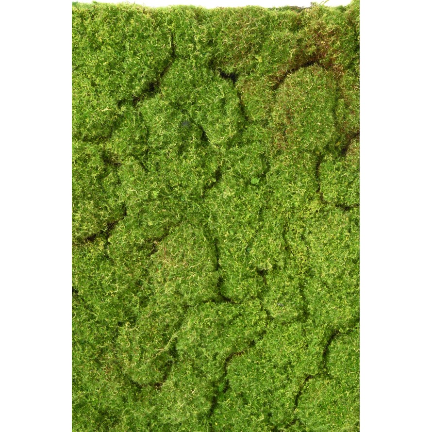 MOOSMATTE MIT KIESELN 50x50