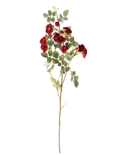 ROSE MINI BRANCH