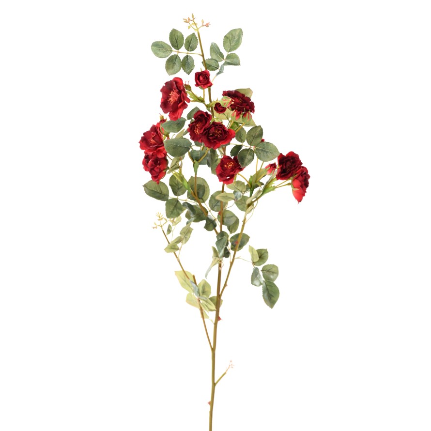 ROSE MINI BRANCH