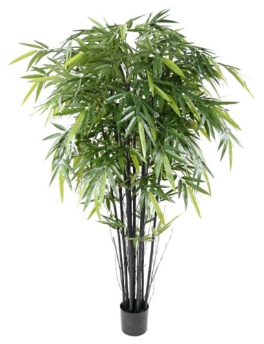 BAMBÚ BLACK NATURAL