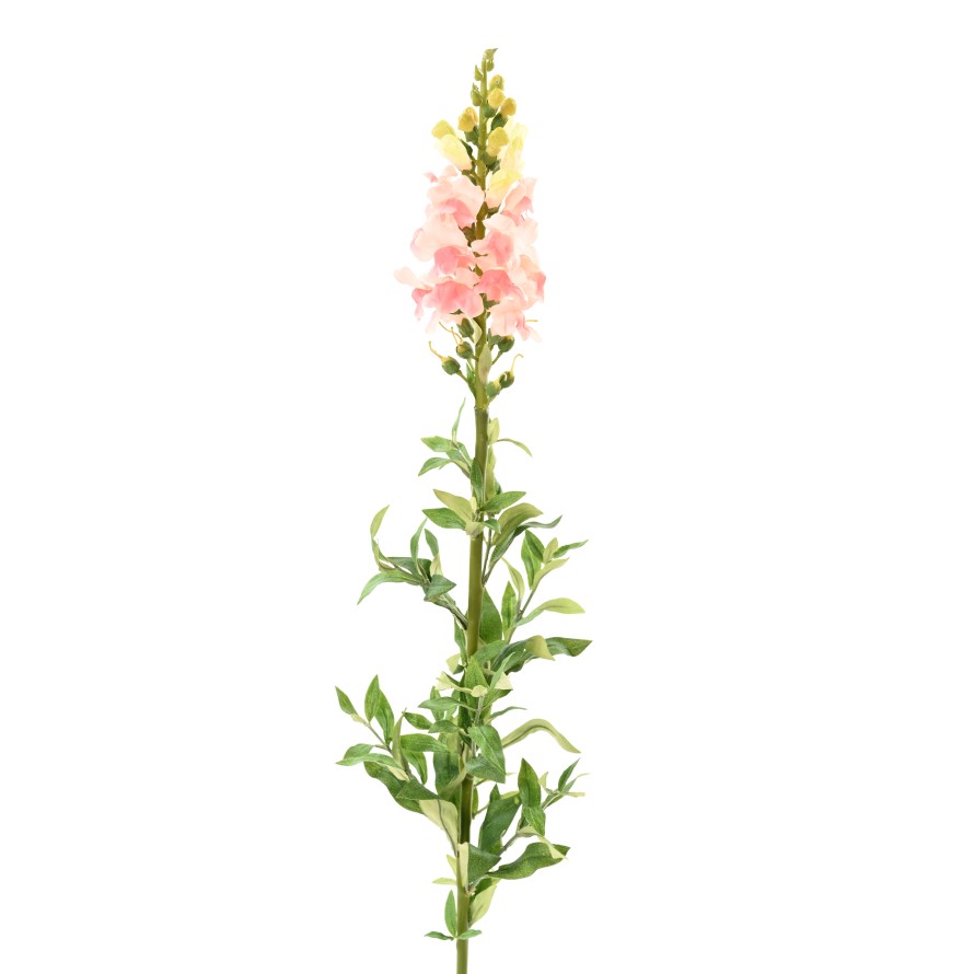 MUFLIER (snapdragon)