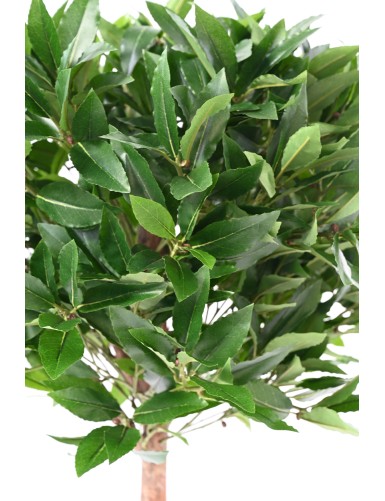 LAUREL ESFERA TALLO 135 RESISTENTE A LOS RAYOS UV B