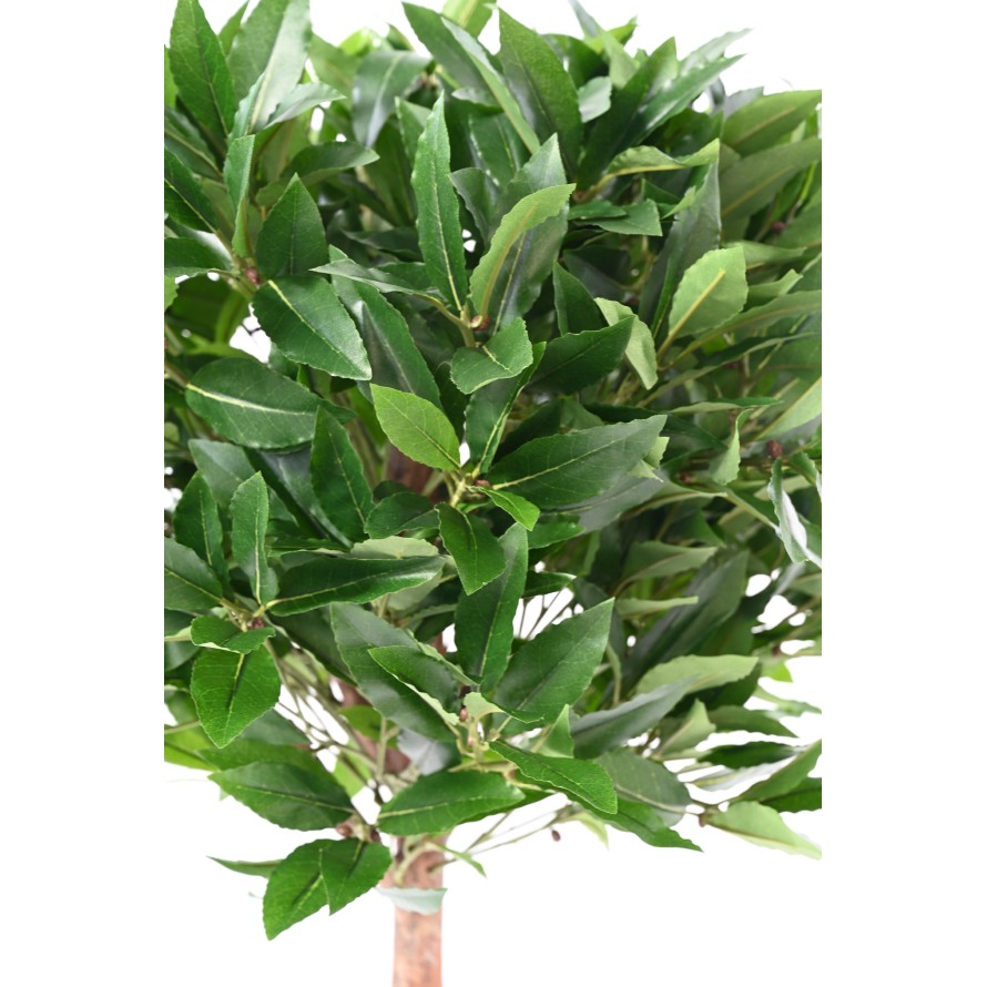 LAUREL BALL STEM 135 UV B